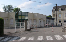 Arbres de Noël école Sainte-Noyale